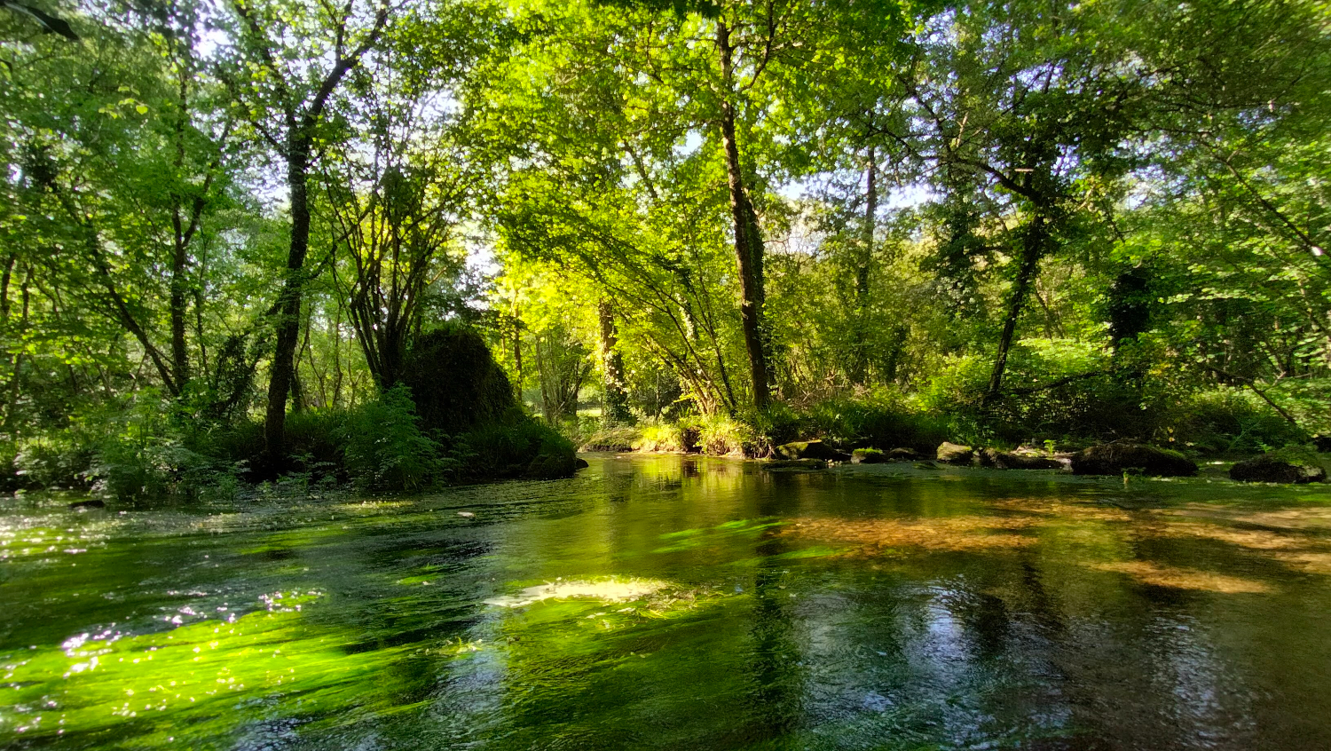 The river Élorn